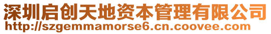 深圳啟創天地資本管理有限公司