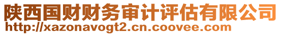 陜西國財財務審計評估有限公司