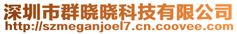 深圳市群曉曉科技有限公司