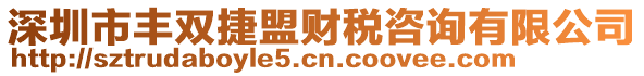 深圳市豐雙捷盟財稅咨詢有限公司