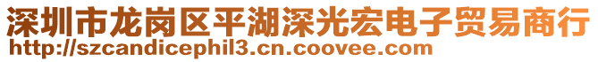 深圳市龍崗區(qū)平湖深光宏電子貿(mào)易商行