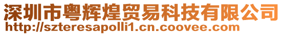 深圳市粵輝煌貿(mào)易科技有限公司