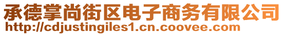 承德掌尚街區(qū)電子商務(wù)有限公司