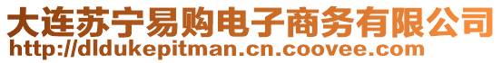 大連蘇寧易購(gòu)電子商務(wù)有限公司