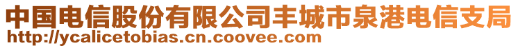 中國(guó)電信股份有限公司豐城市泉港電信支局