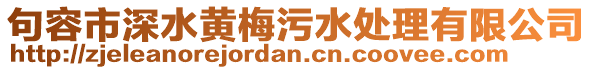 句容市深水黃梅污水處理有限公司