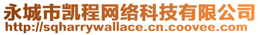 永城市凱程網絡科技有限公司