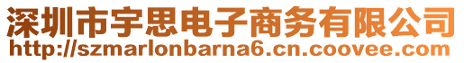 深圳市宇思電子商務有限公司