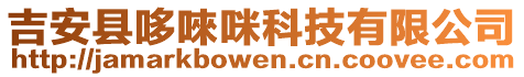 吉安縣哆唻咪科技有限公司