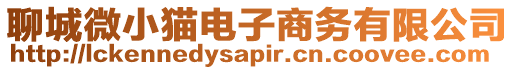 聊城微小貓電子商務(wù)有限公司