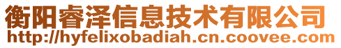 衡陽睿澤信息技術(shù)有限公司