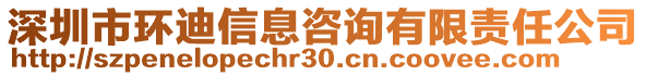 深圳市環(huán)迪信息咨詢有限責任公司