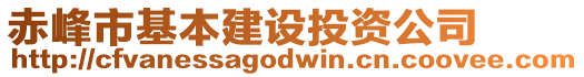 赤峰市基本建設(shè)投資公司