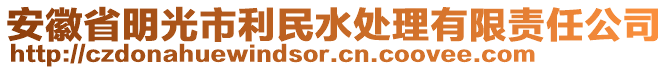 安徽省明光市利民水處理有限責(zé)任公司