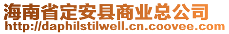 海南省定安縣商業(yè)總公司