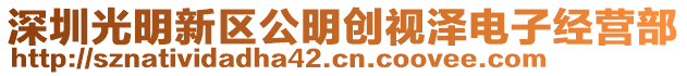 深圳光明新區(qū)公明創(chuàng)視澤電子經營部