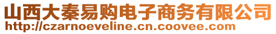 山西大秦易購電子商務(wù)有限公司