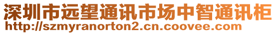 深圳市遠(yuǎn)望通訊市場(chǎng)中智通訊柜