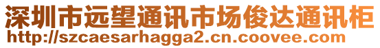 深圳市遠望通訊市場俊達通訊柜