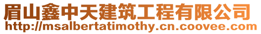 眉山鑫中天建筑工程有限公司