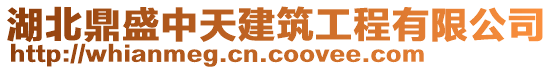 湖北鼎盛中天建筑工程有限公司