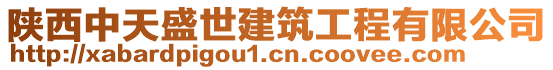 陜西中天盛世建筑工程有限公司