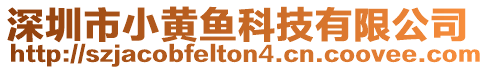 深圳市小黃魚(yú)科技有限公司