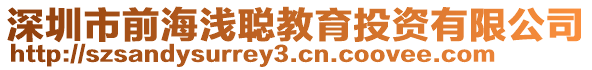 深圳市前海淺聰教育投資有限公司