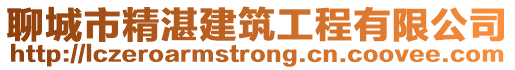 聊城市精湛建筑工程有限公司