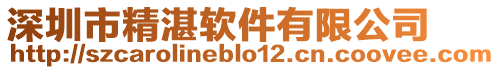 深圳市精湛軟件有限公司