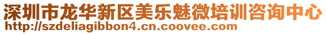 深圳市龍華新區(qū)美樂(lè)魅微培訓(xùn)咨詢中心