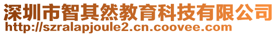 深圳市智其然教育科技有限公司