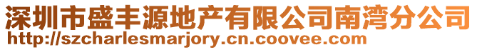 深圳市盛豐源地產(chǎn)有限公司南灣分公司