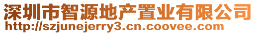 深圳市智源地產(chǎn)置業(yè)有限公司