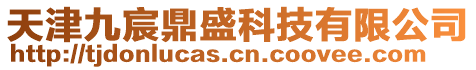 天津九宸鼎盛科技有限公司