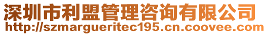 深圳市利盟管理咨詢有限公司
