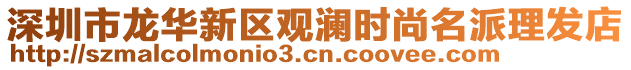 深圳市龍華新區觀瀾時尚名派理發店