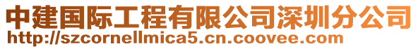 中建國際工程有限公司深圳分公司