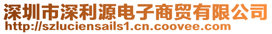 深圳市深利源電子商貿(mào)有限公司