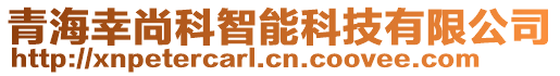 青海幸尚科智能科技有限公司