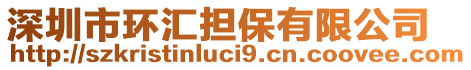 深圳市環(huán)匯擔(dān)保有限公司