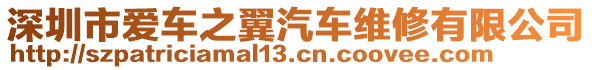 深圳市愛車之翼汽車維修有限公司