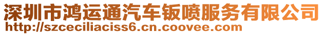 深圳市鴻運通汽車鈑噴服務(wù)有限公司