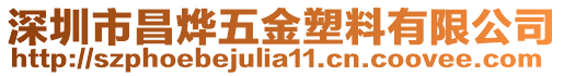 深圳市昌燁五金塑料有限公司