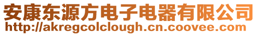 安康東源方電子電器有限公司