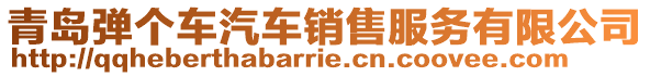 青島彈個車汽車銷售服務有限公司