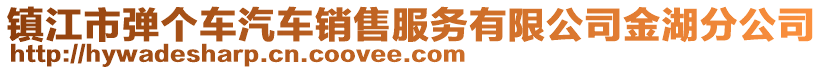 鎮(zhèn)江市彈個車汽車銷售服務(wù)有限公司金湖分公司