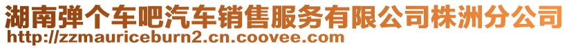 湖南彈個車吧汽車銷售服務有限公司株洲分公司