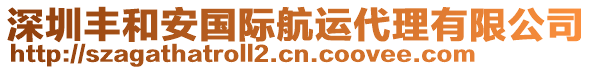 深圳豐和安國(guó)際航運(yùn)代理有限公司