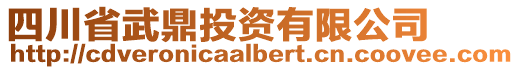 四川省武鼎投資有限公司